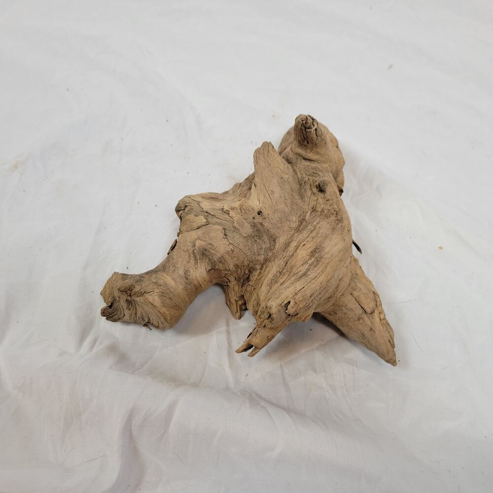 Ohio River Driftwood 8"x8"x5"